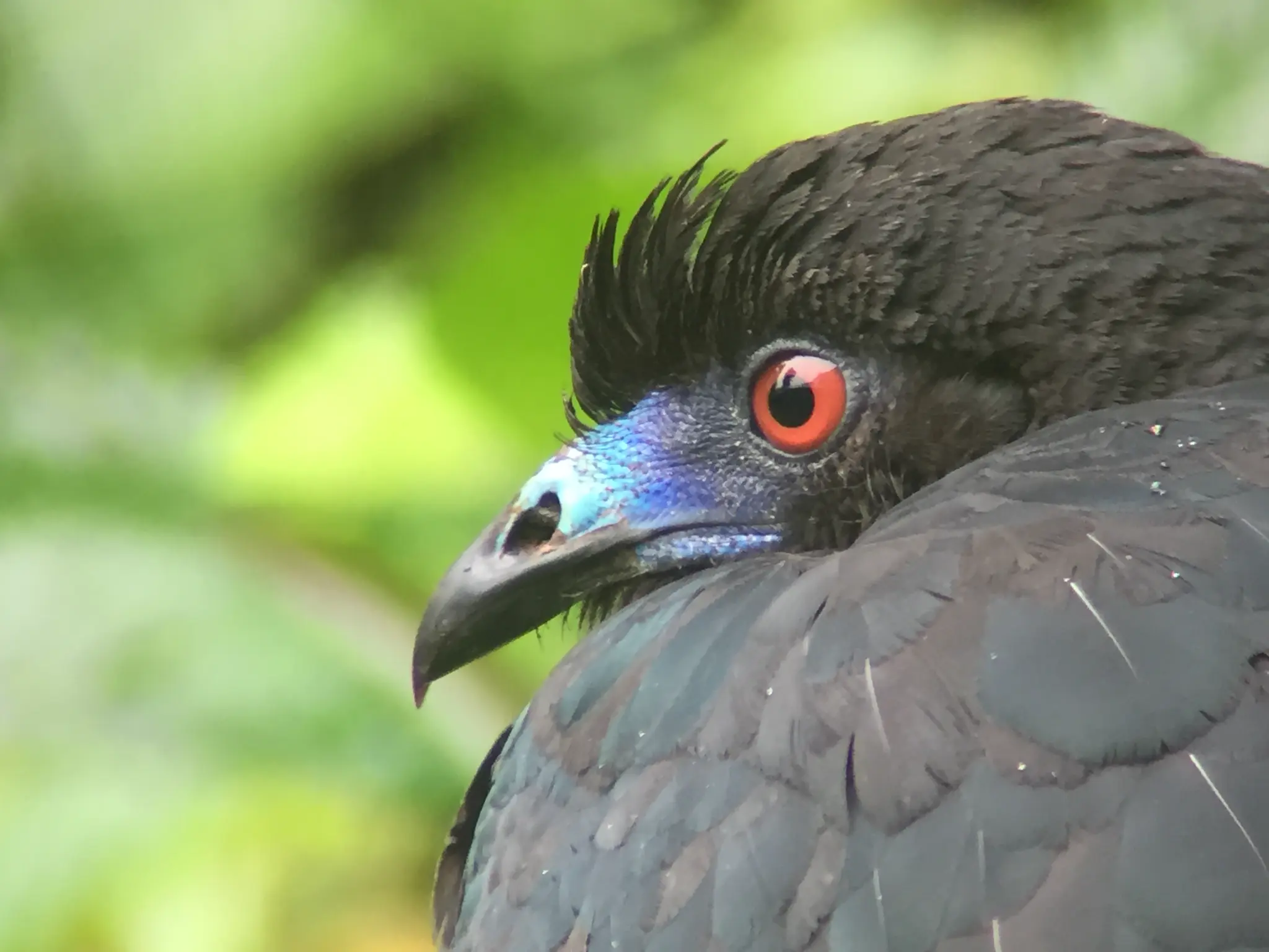 Senderos místicos entre las nubes