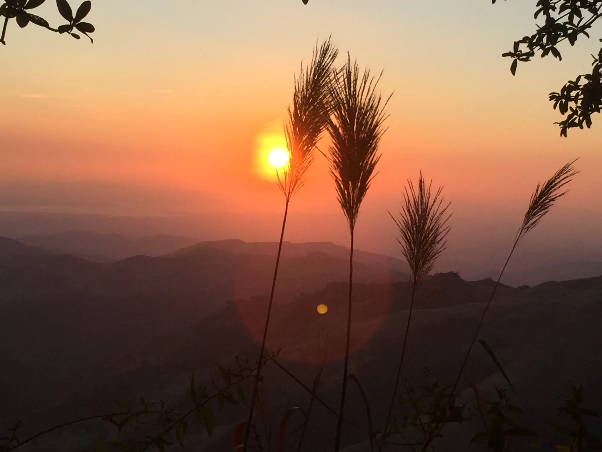 Conservación y biodiversidad